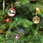 Turbo trees give Danish Christmas green edge