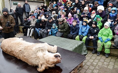 Danish zoo quietly dissects new lion
