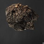 300-year-old turd offers insight into Denmark's past
