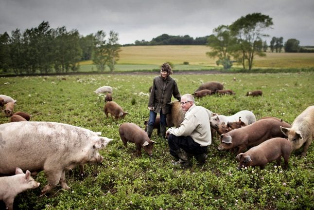 Denmark’s government to spend a billion on organic farming