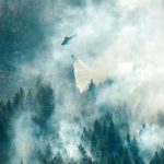 Danish firefighters to help fight Swedish forest blazes