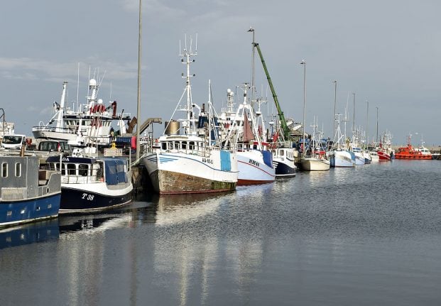 Opinion: Overfishing in Danish seas is bad for the environment and the economy