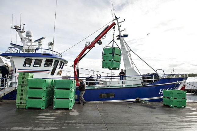 Denmark to continue herring fishing after warnings over dwindling population