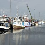 Denmark halts fish farming development over environment concerns