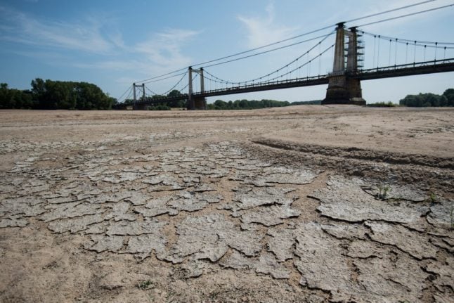 Climate crisis: 2019 was Europe's hottest year in history, EU says