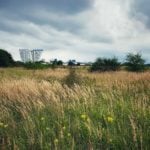 OPINION: Building on Amager Common risks destroying Copenhagen’s green image