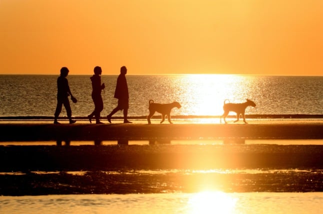 People and dogs walk along Lakolk beach in Rømø
