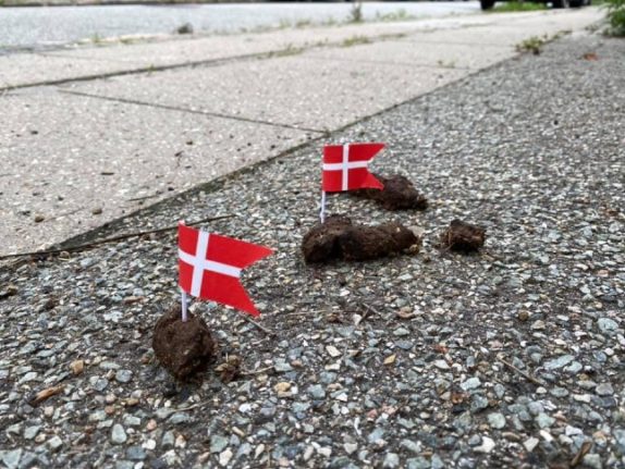 Why are Danish people sticking the national flag in dog poo?